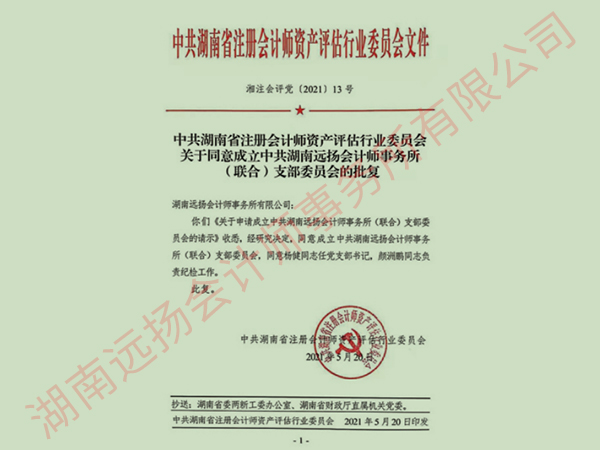  中共湖南省注册会计师资产评估行业委员会文件
